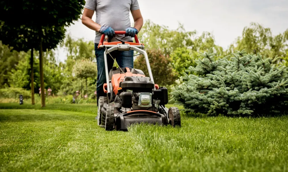 Entretien d'espaces verts à Valpuiseaux